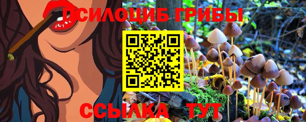 Псилоцибиновые грибы MAGIC MUSHROOMS  Псилоцибиновые грибы GOLDEN TEACHER  Долгопрудный 