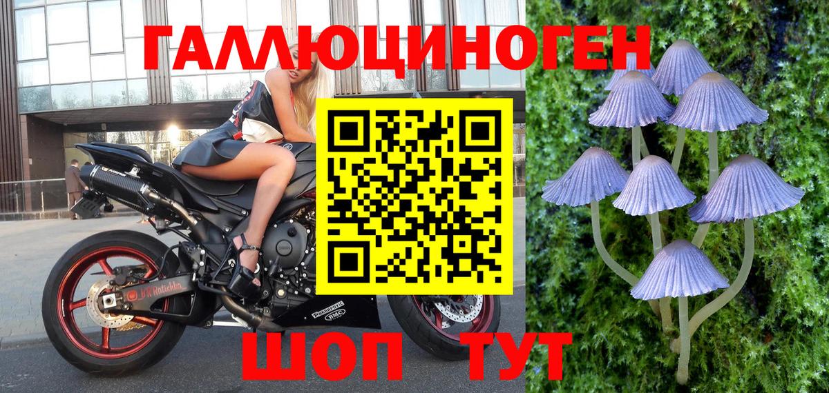 Галлюциногенные грибы мухоморы  Псилоцибиновые грибы Psilocybine cubensis  Вход с VPN  Долгопрудный 