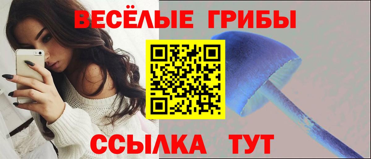 Псилоцибиновые грибы Magic Shrooms Долгопрудный